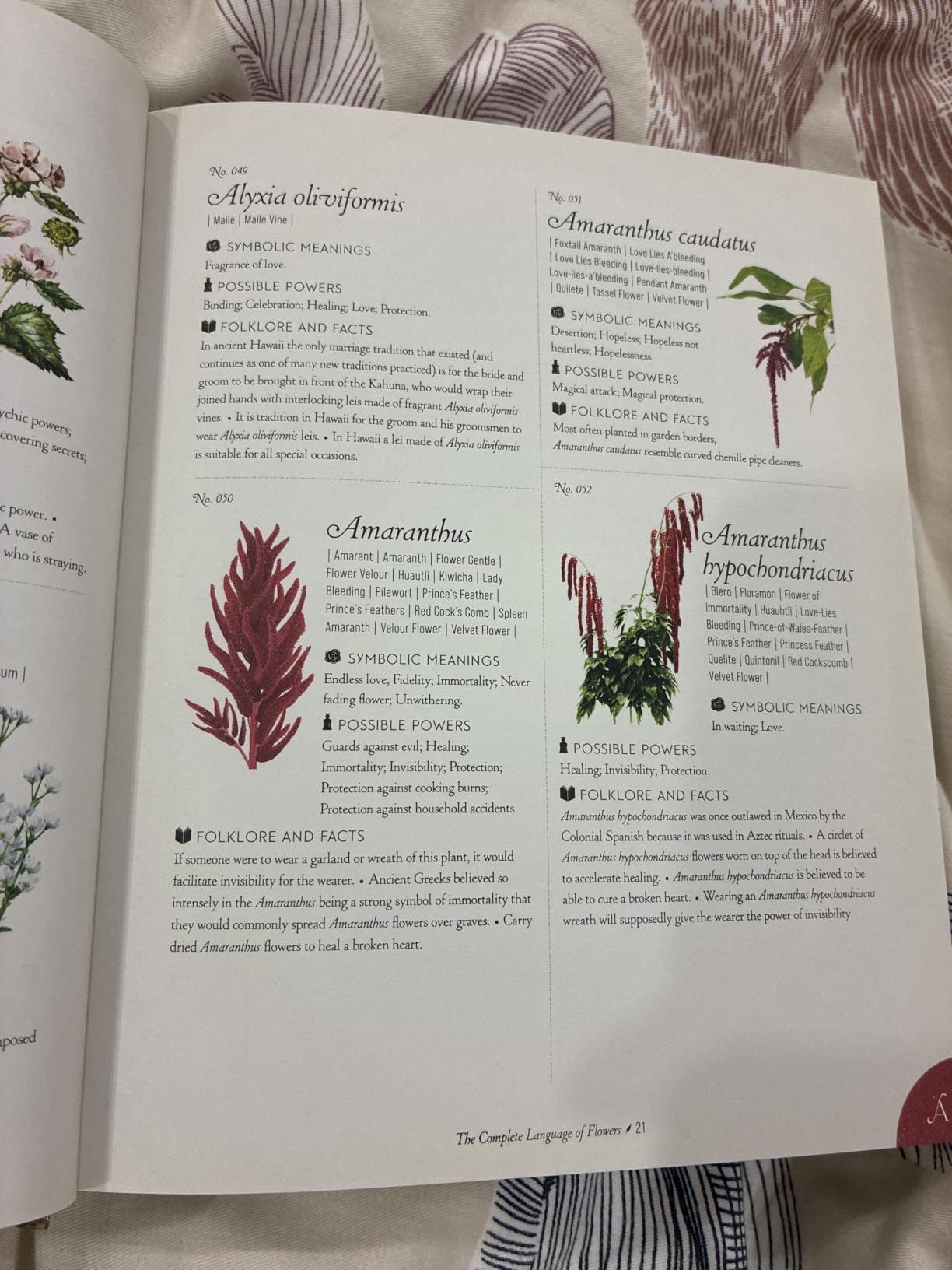 The Complete Language of Flowers: A Definitive and Illustrated History - Pocket Edition customer photo 2