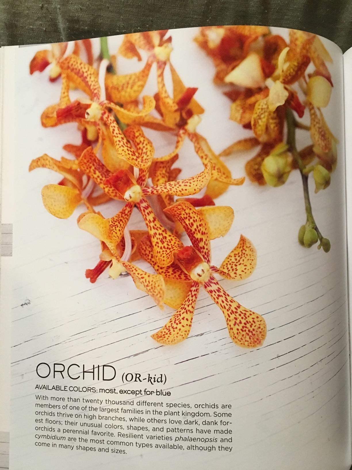 The Flower Recipe Book: 100 Magical, Sculptural, Seasonal Arrangements (The Flower Recipe Series) customer photo 1