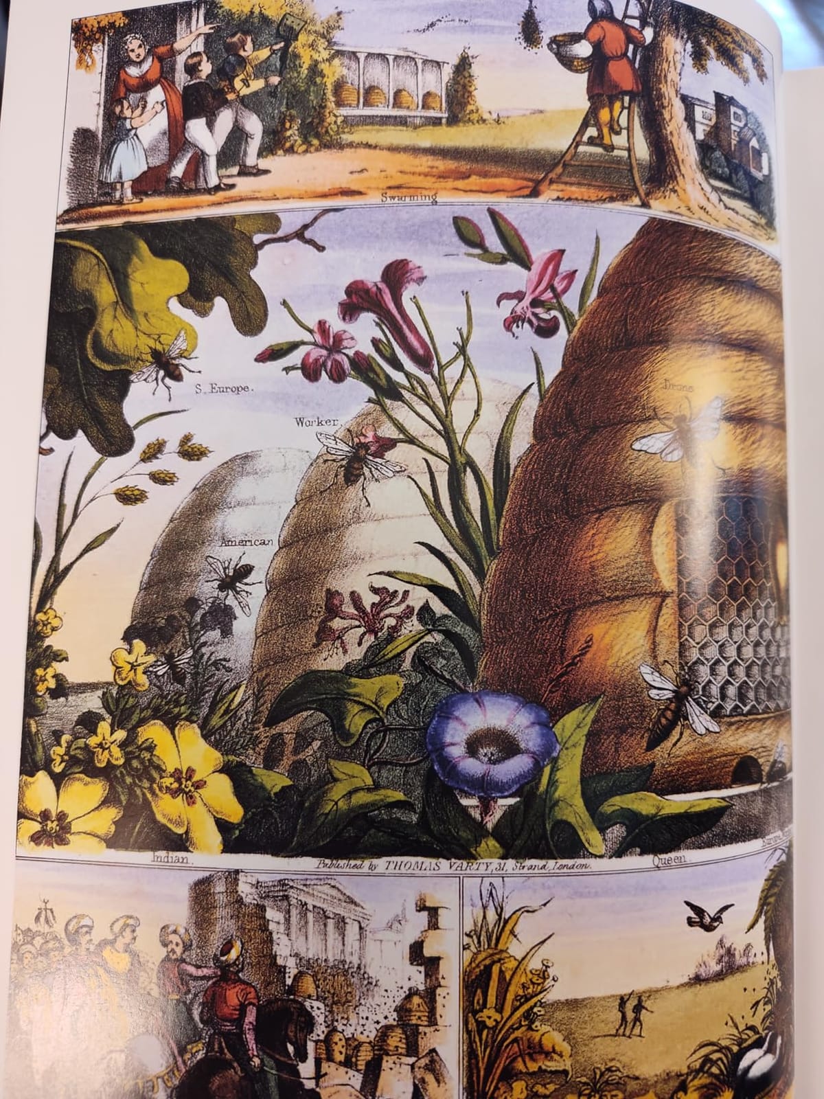 The Beekeeper's Bible: Bees, Honey, Recipes & Other Home Uses (The Backyard Naturalist Series) customer photo 2