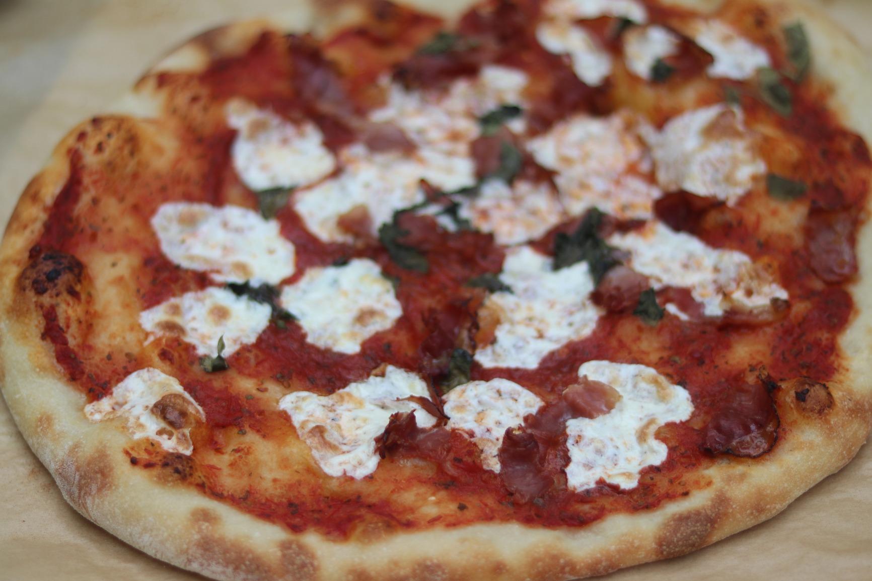 The Pizza Bible: The World's Favorite Pizza Styles, from Neapolitan, Deep-Dish, Wood-Fired, Sicilian, Calzones and Focaccia to New York, New Haven, Detroit, and More customer photo 1