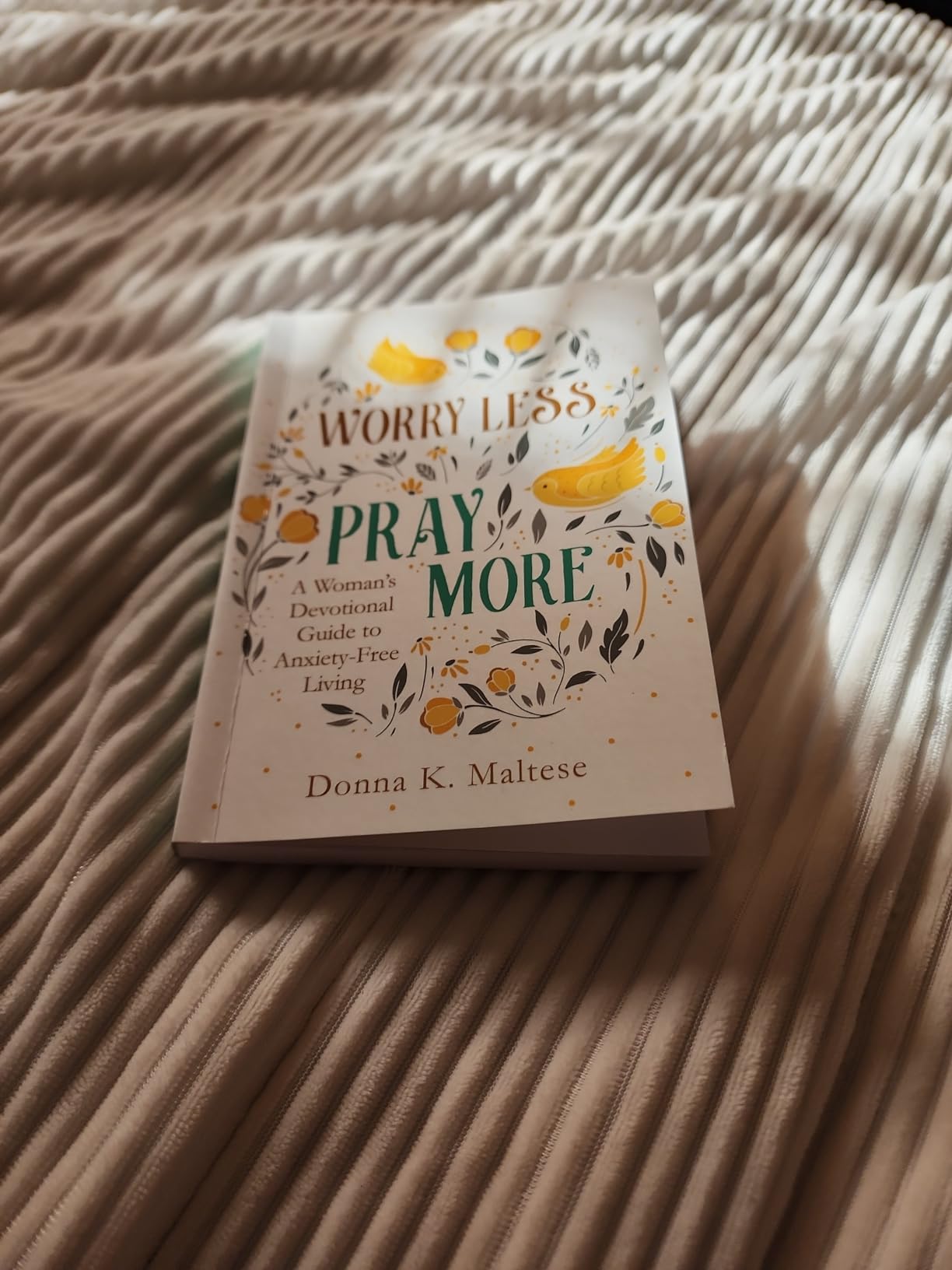 Worry Less, Pray More: A Woman's Devotional Guide to Anxiety-Free Living customer photo 2