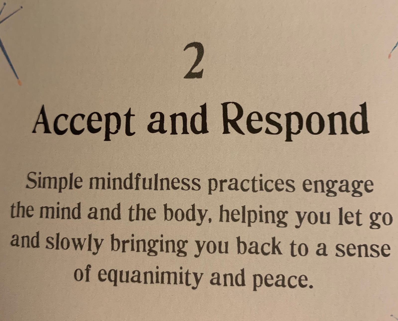 Little Book of Mindfulness: 10 minutes a day to less stress, more peace customer photo 2