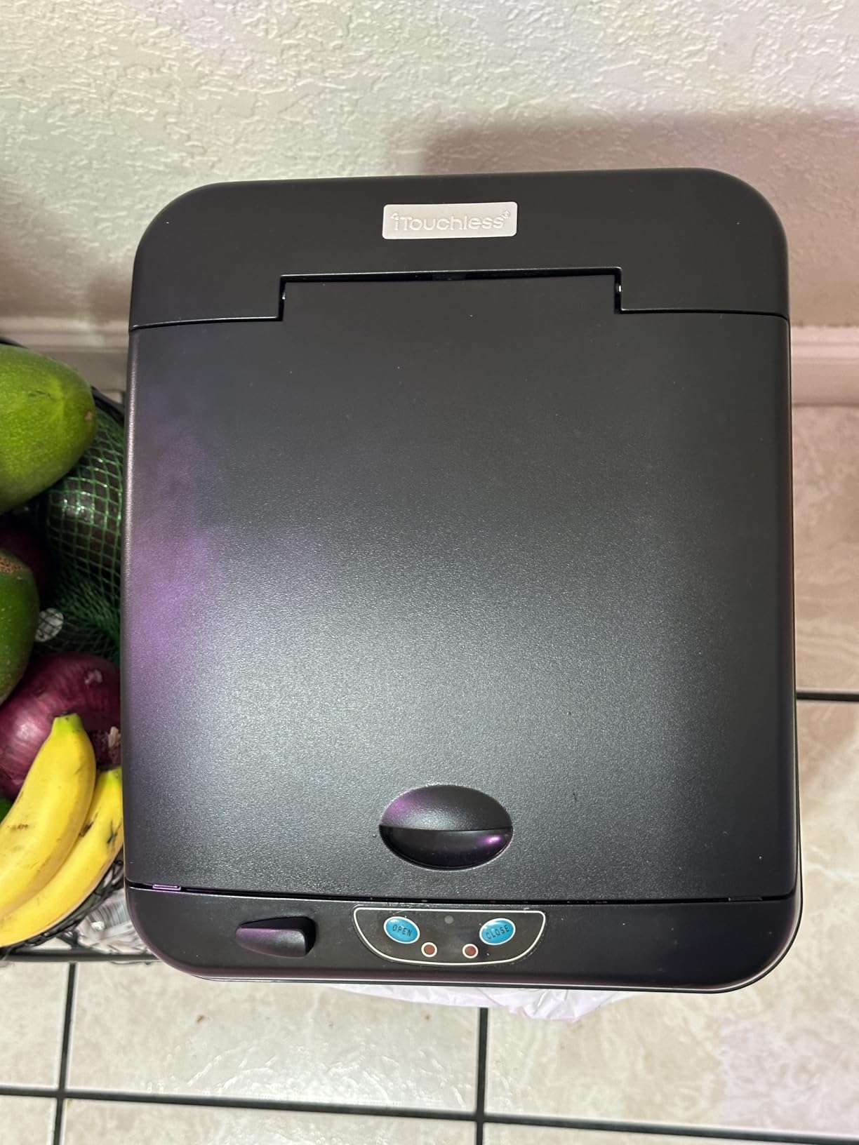 iTouchless 13 Gallon Sensor Trash Can with Lid | Pet Lock and Odor Filter customer photo 1
