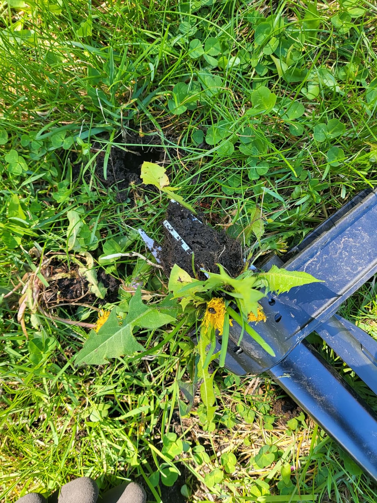 Fiskars Deluxe Stand-Up Weed Puller Tool, 4 Serrated Stainless Steel Claws customer photo 2
