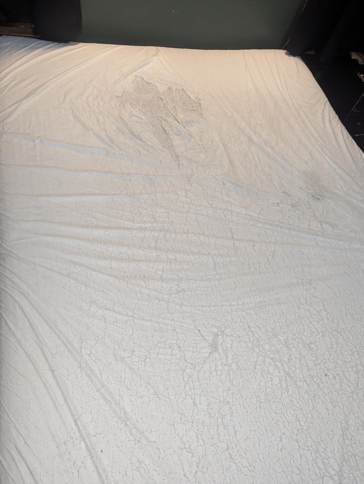 All-in-One Mattress Protector, Zippered Encasement, Water & Stain Resistant, Triple Seal Protection, King, White customer photo 1