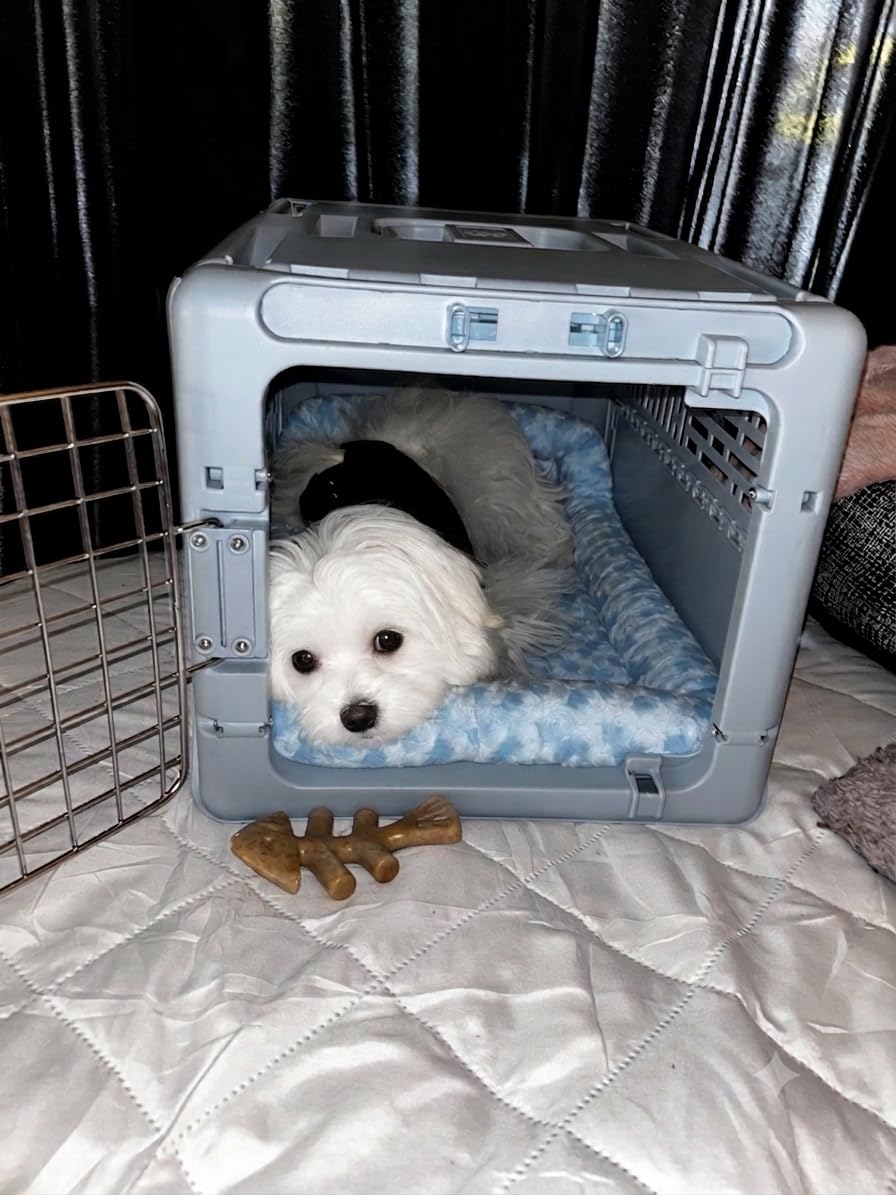 MidWest Homes for Pets QuietTime XXS Dog Bed - Gray Faux Fur Bolster, Ultra-Soft and Machine Washable, Fits 18-Inch Crates and Carriers, for Small Dogs and Cats customer photo 1