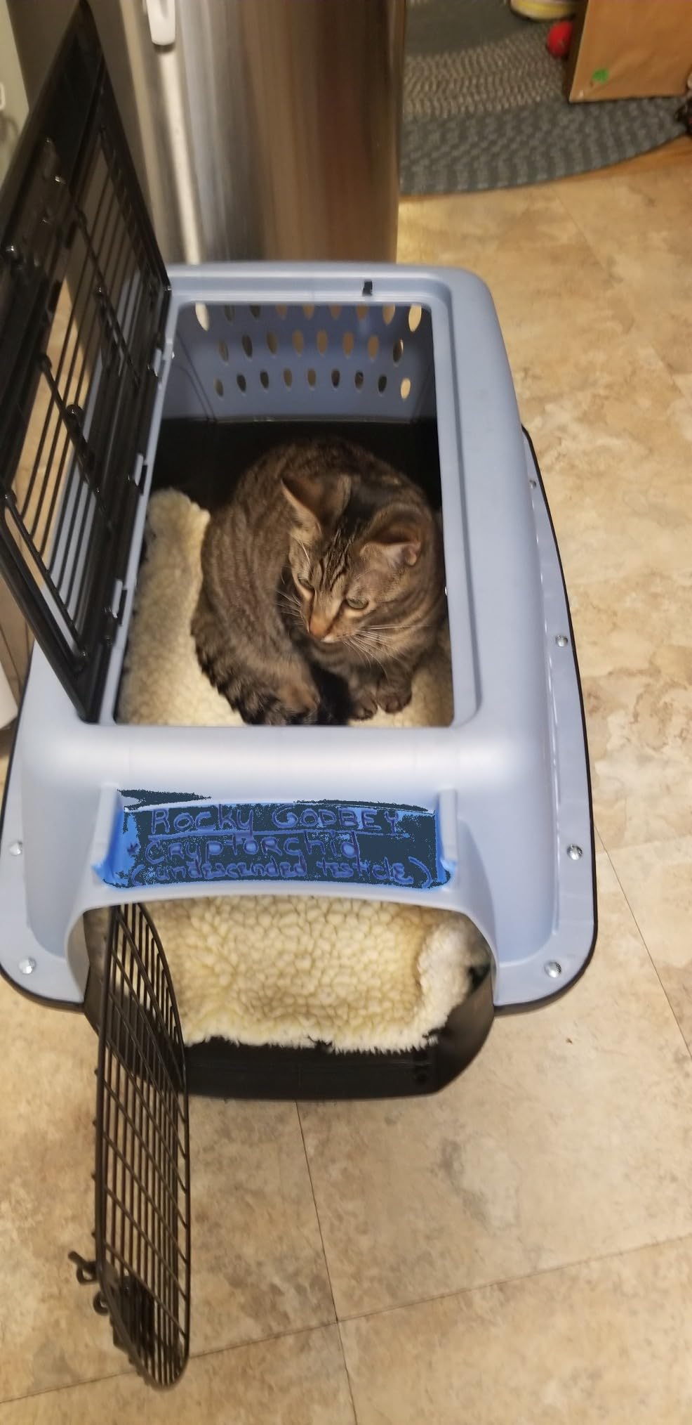 Petmate Dog Crate for Small Dogs and Cat Carrier, 24in, Pearl Tan customer photo 2