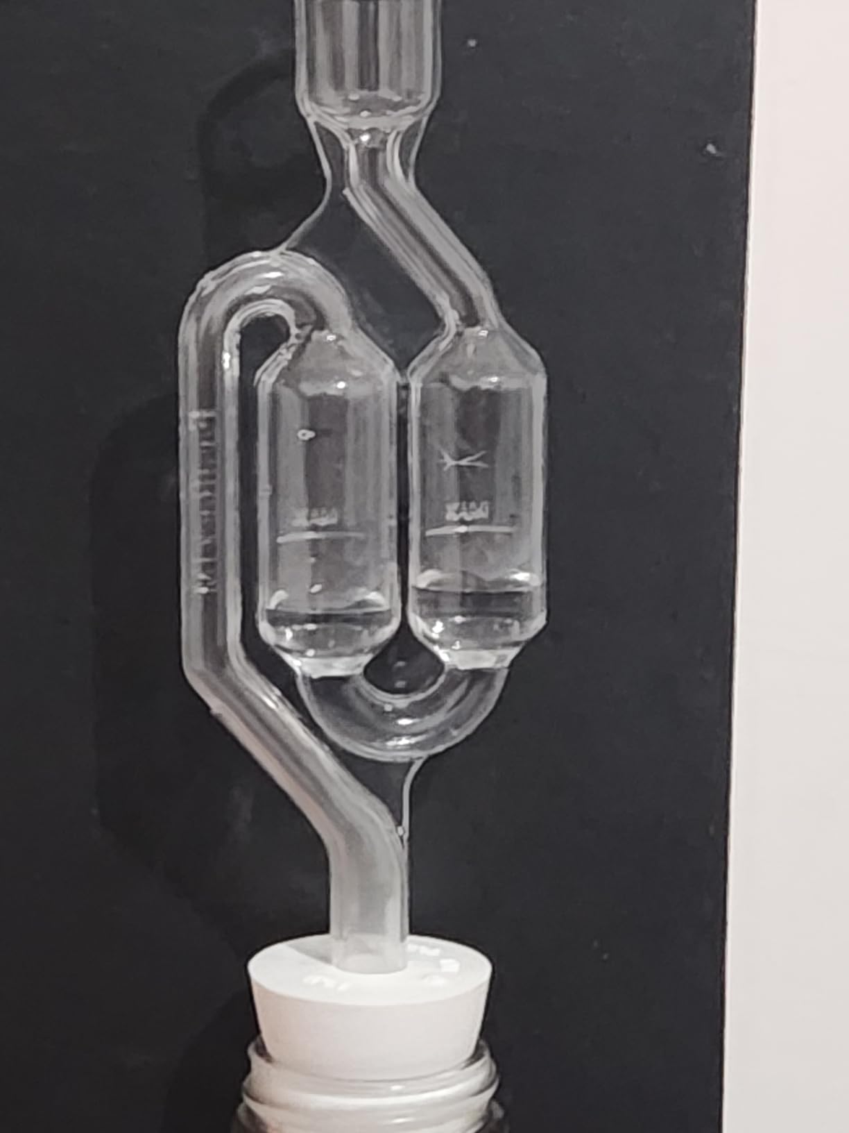 1 Gallon Glass Jug with Airlock, #6.5 Rubber Bung and Twin Bubble Design customer photo 2