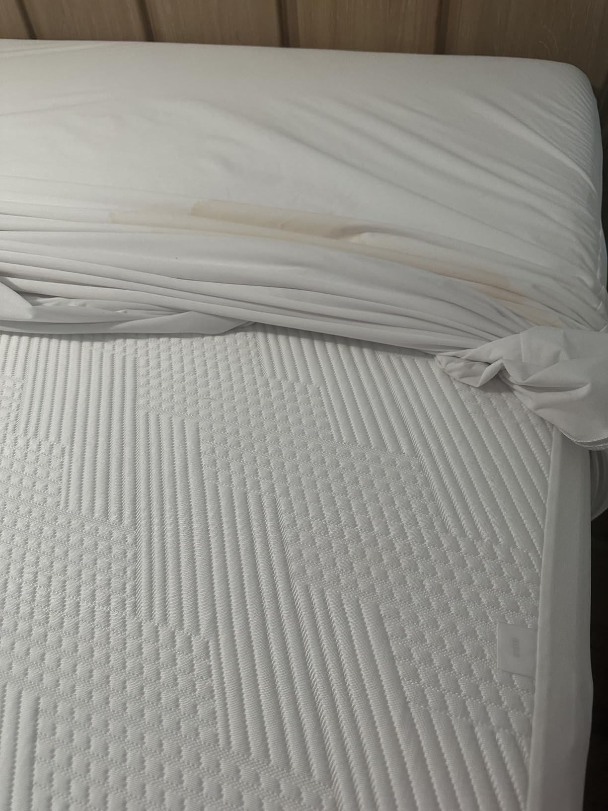 Guardmax Queen Mattress Protector Zippered, Bed Bug Mattress Cover customer photo 2