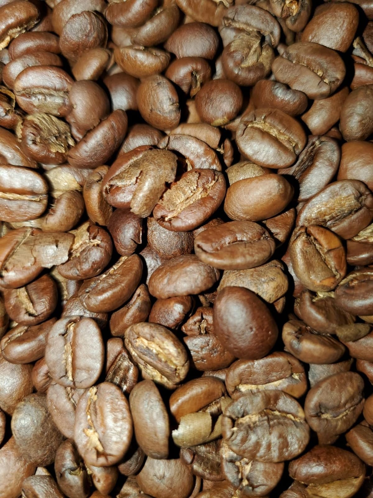 Fresh Roasted Coffee, Brazil Unroasted Green Coffee Beans for Home Roasting, Kosher, 5 lb (80 oz) customer photo 1
