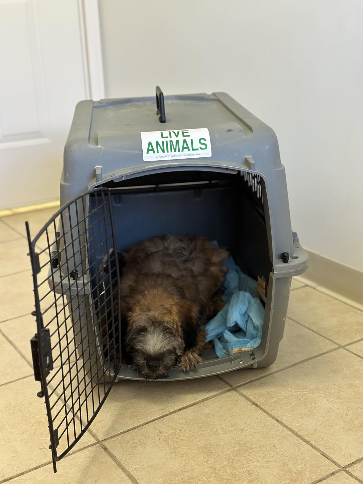 Petmate Vari Dog Kennel, Portable Pet Carrier, Taupe and Black, 28in customer photo 2