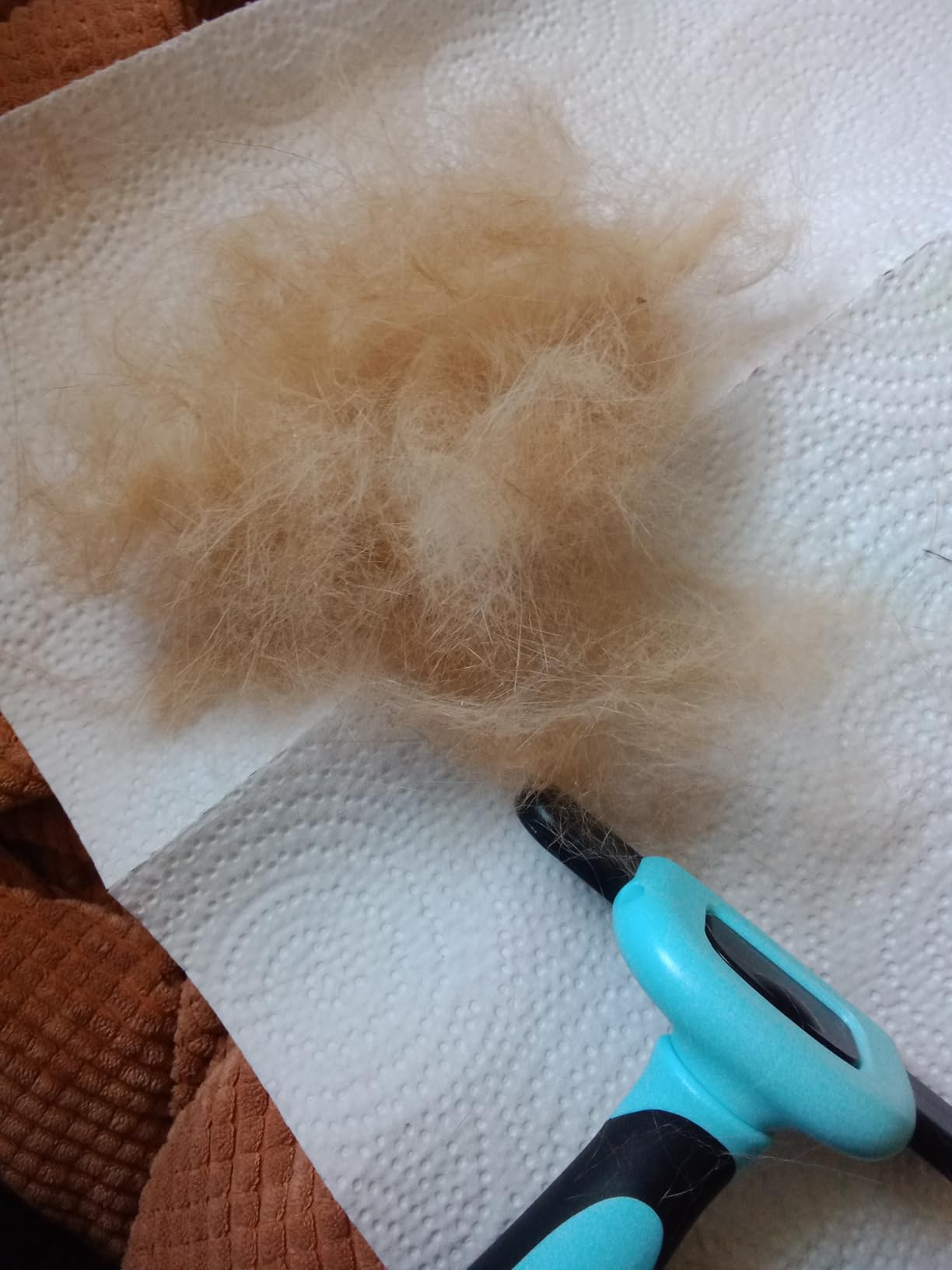 MIU COLOR Pet Grooming Brush, Deshedding Tool for Dogs & Cats, Blue customer photo 1