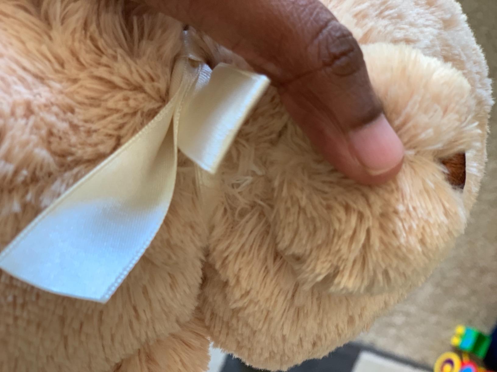 GUND My First Teddy Bear 10-Inch Pink Stuffed Animal for Ages 0+ customer photo 2