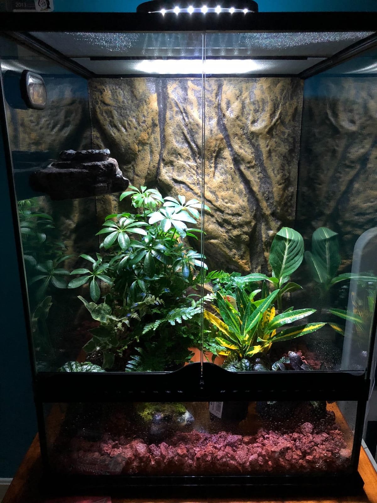 Exo Terra PT2336 Day/Night LED Fixture, Large customer photo 1