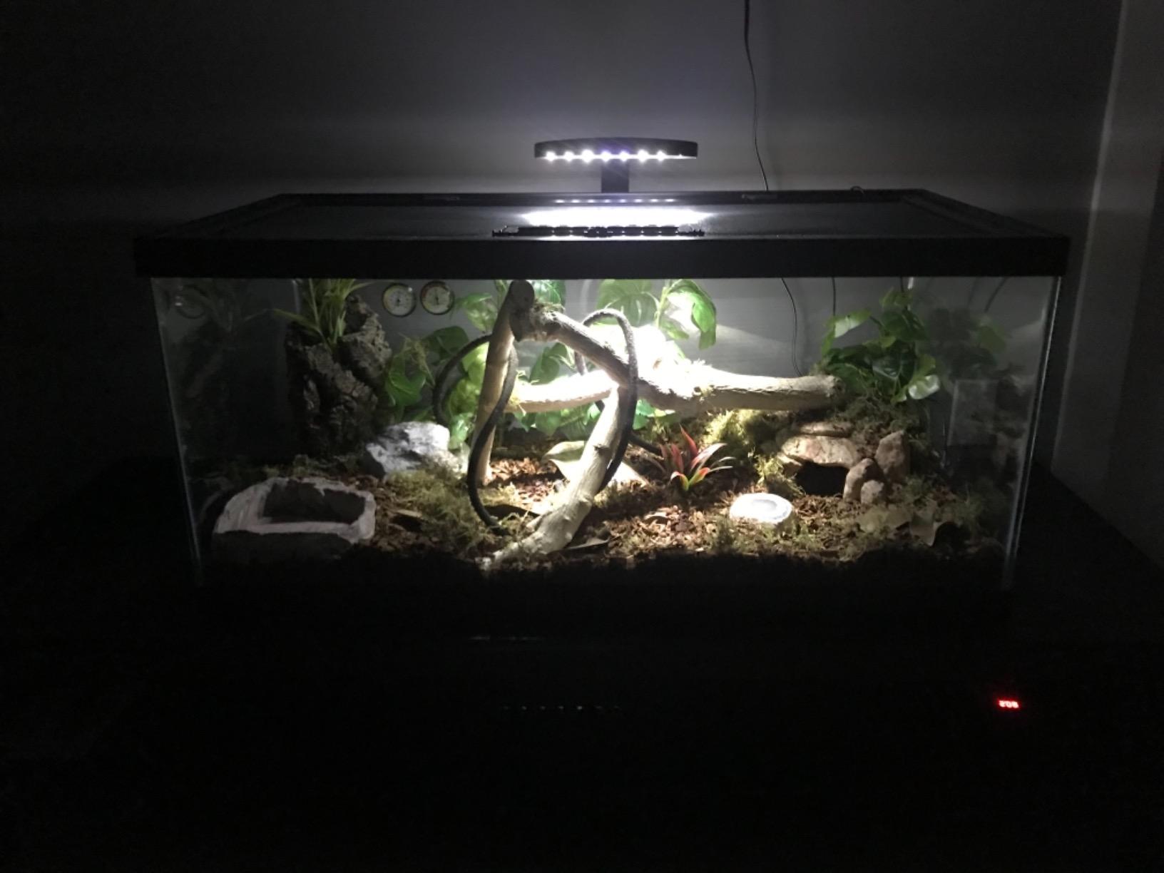 Exo Terra PT2336 Day/Night LED Fixture, Large customer photo 2