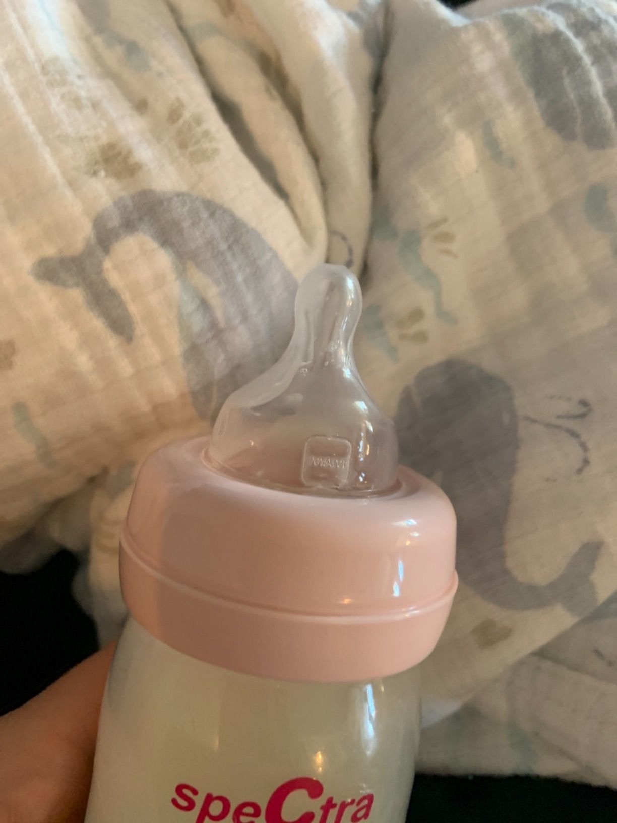 Spectra Baby Wide Neck Baby Bottles for Breast Milk, Pack of 2 customer photo 1