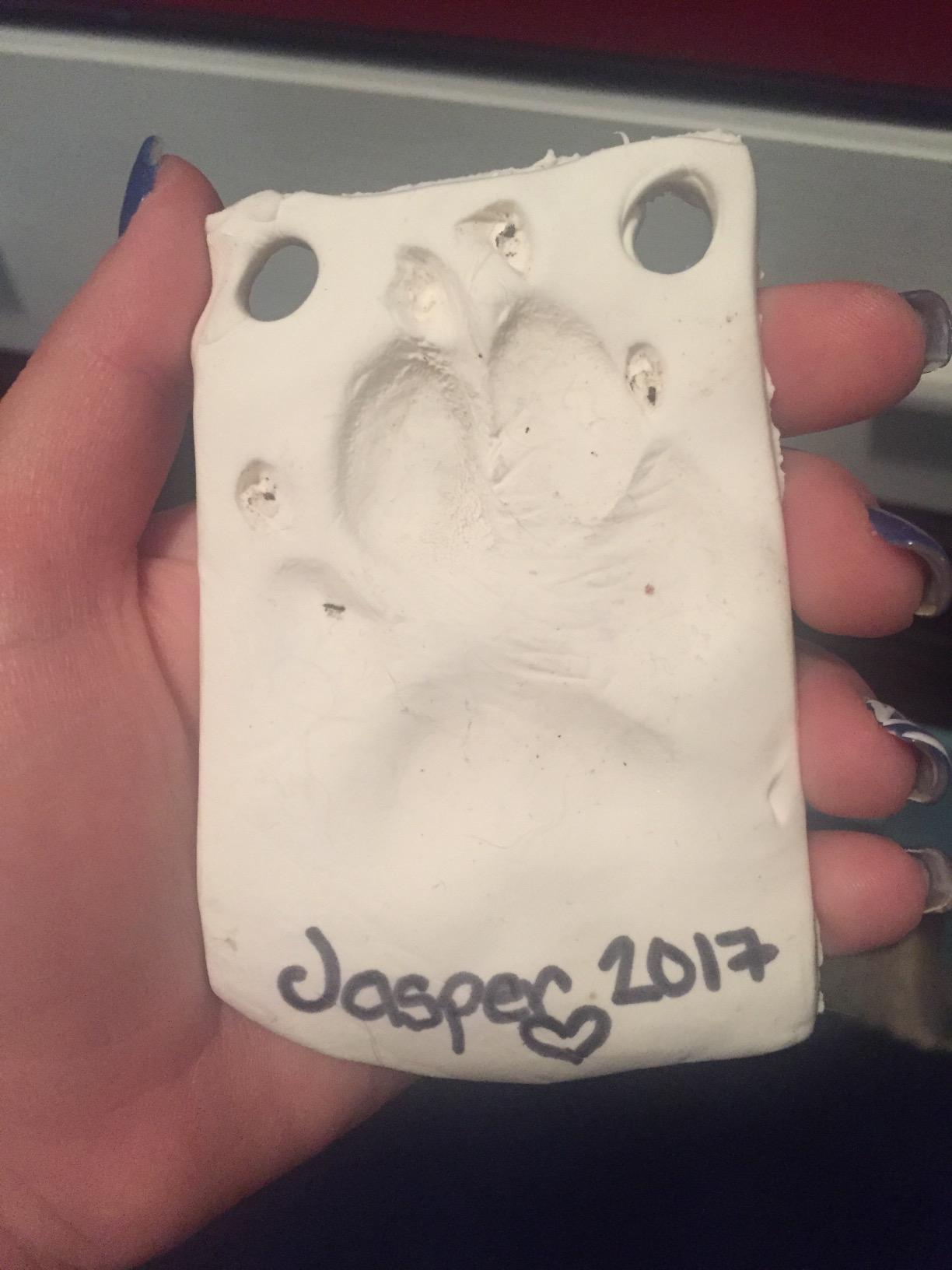Pearhead Pet Paw Print Memorial Frame with Clay Imprint Kit, Espresso Brown customer photo 1