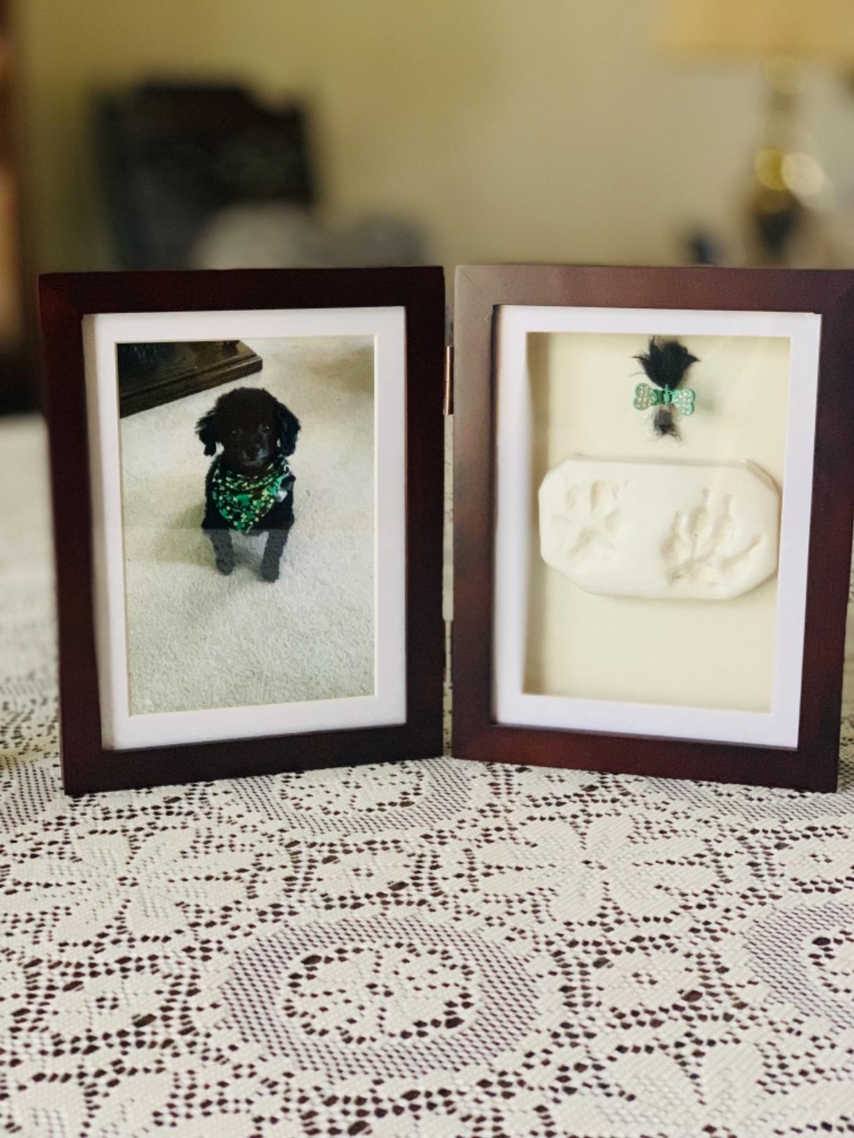 Pearhead Pet Paw Print Memorial Frame with Clay Imprint Kit, Espresso Brown customer photo 2