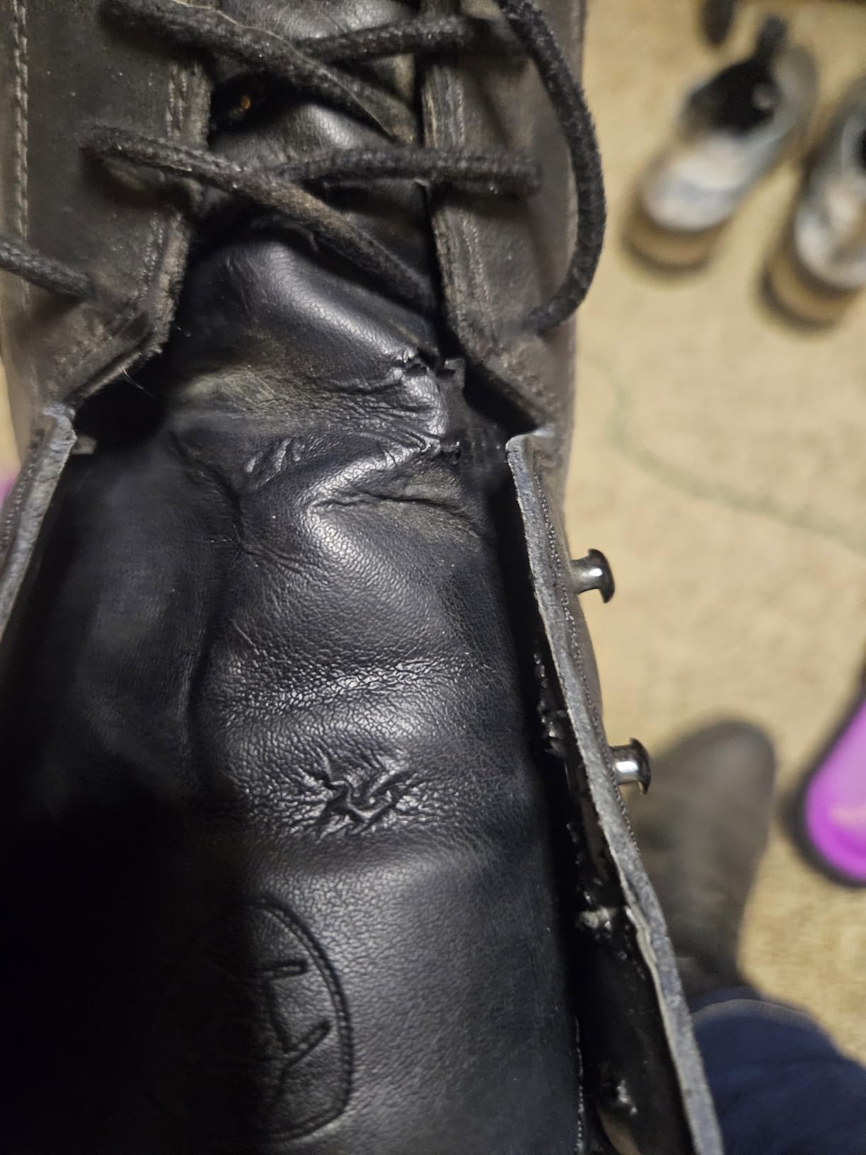 ARIAT Scout Paddock customer photo 1