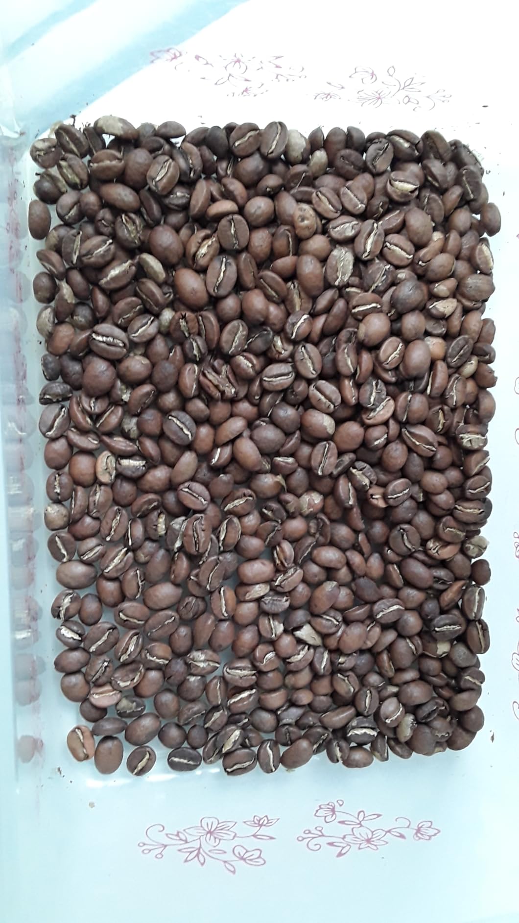 Primos Unroasted Green Arabica Coffee Beans - 3 Lb - Nicaraguan Caturra customer photo 1