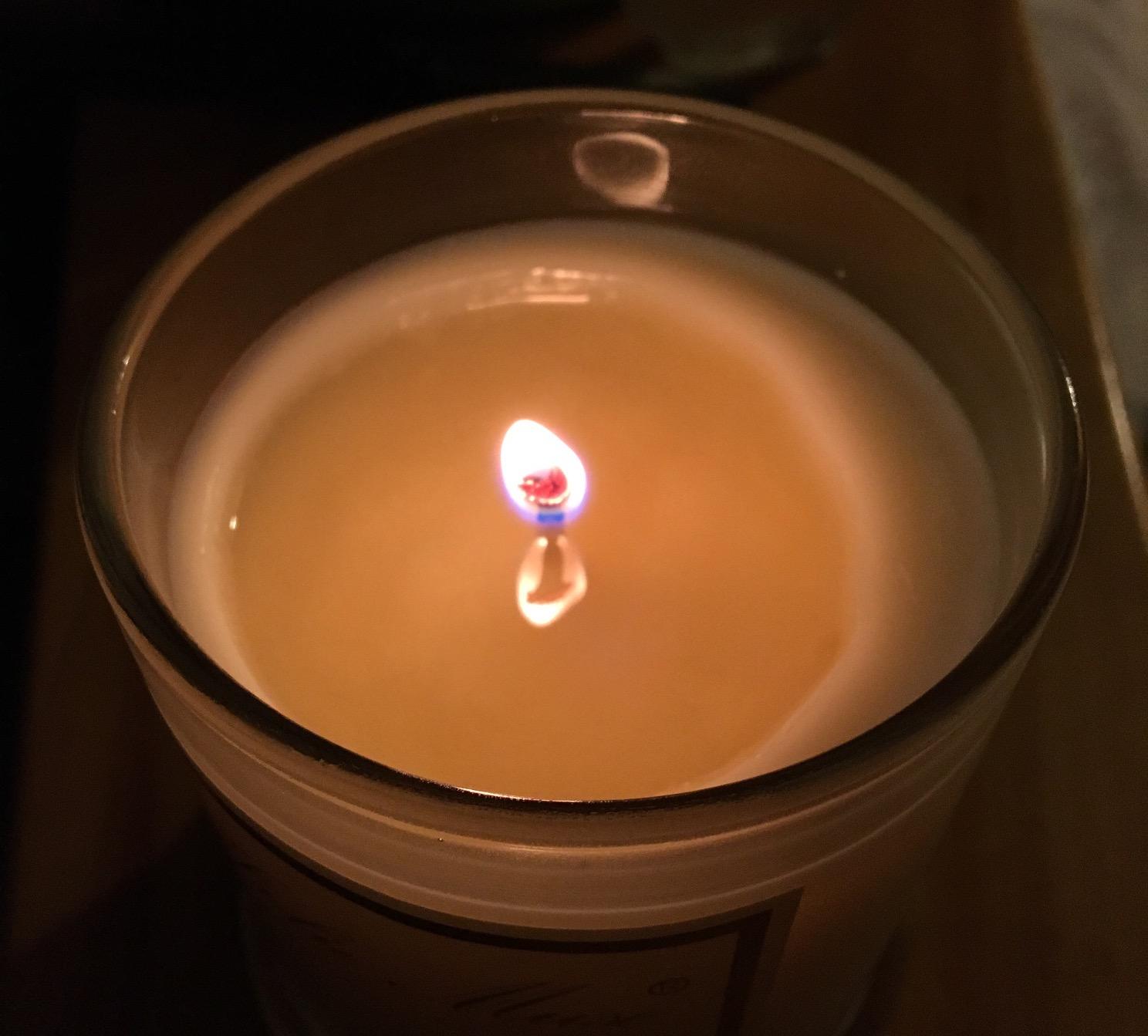 LA JOLIE MUSE Jasmine Floral Scented Candles for Home, Natural Soy 70 Hrs customer photo 2