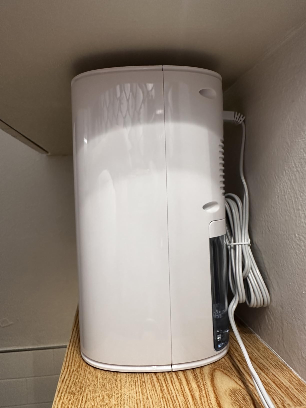 Pure Enrichment PureDry Mini Dehumidifier, 27 oz Tank, Removes 300 mL/Day customer photo 2
