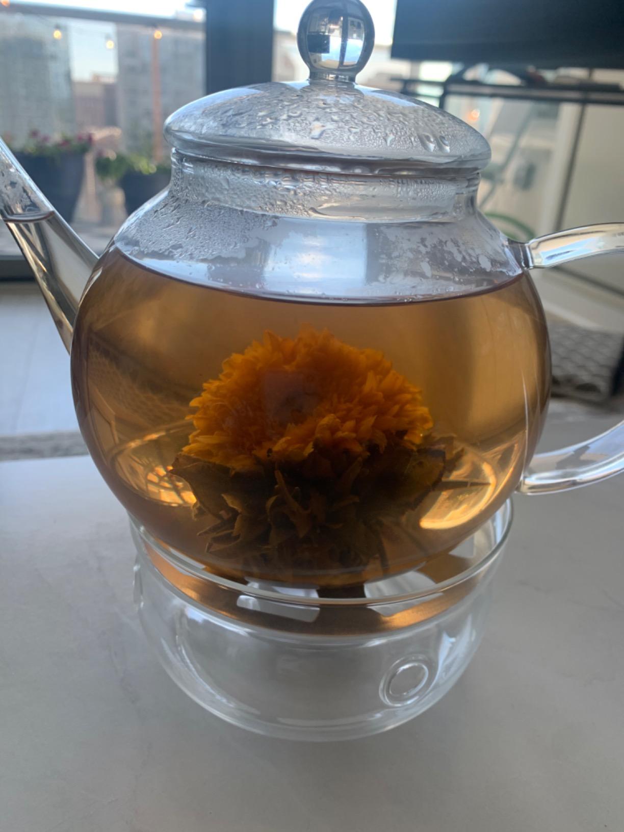 Teabloom Complete Glass Tea Set – Teapot (40 oz), Loose Tea Infuser, 4 Insulated Teacups, Tea Warmer with Candlelight, and 12 Flowering Teas – Elegant Blooming Tea Gift Set customer photo 1