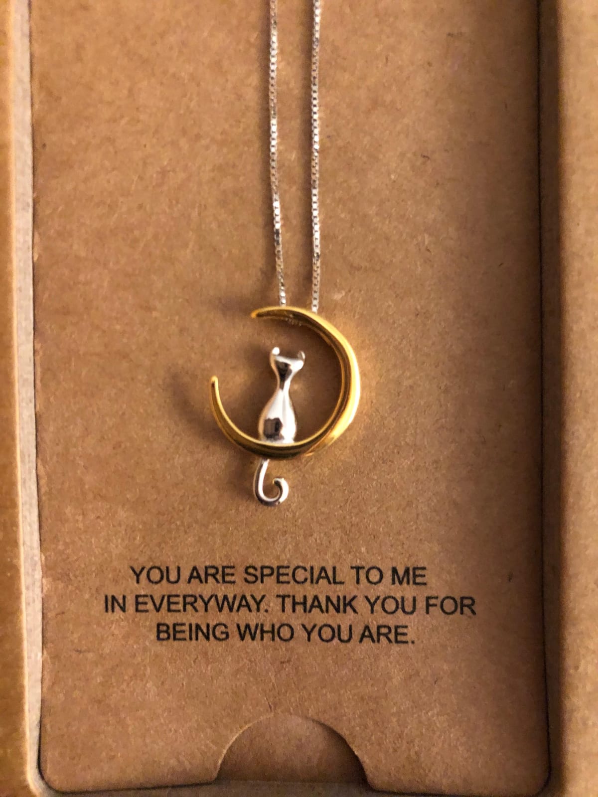 Moon Cat Pendant Necklace Sterling Silver Box Chain for Women Celestial Jewelry 18“ customer photo 2