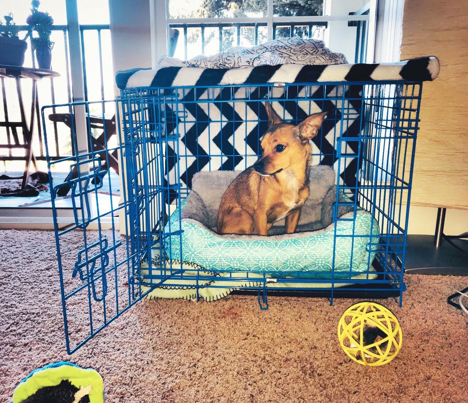 Internet's Best Wire Dog Kennel | Medium (36 Inches) | Double Door Metal Steel Crates | Indoor Outdoor Pet Home | Folding and Collapsible Cage | Blue customer photo 1