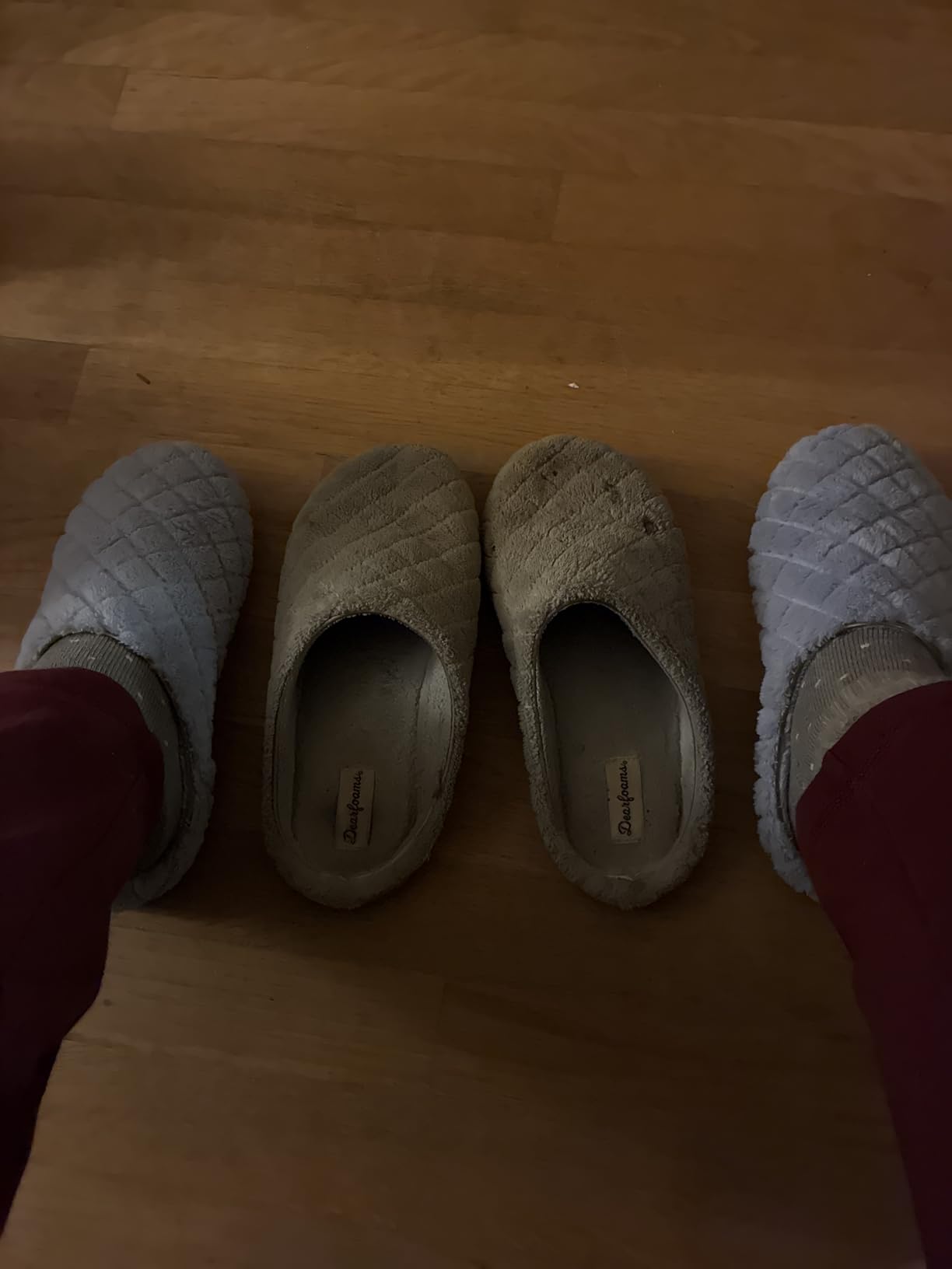 Leslie Terry Clog House Shoes with Memory Foam, Indoor Slippers with Wide Widths customer photo 1