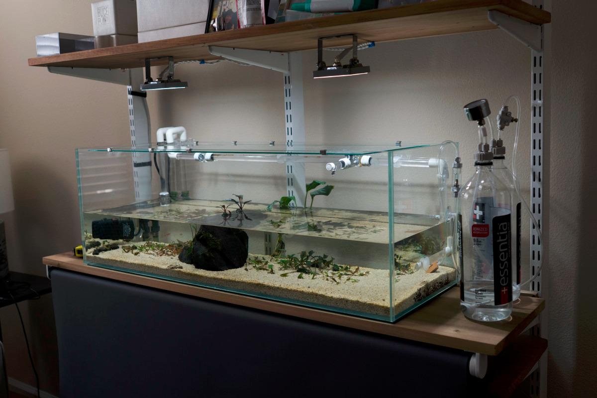 DIY CO2 Generator System Aquarium Plant Kit with Gauge Valve customer photo 1
