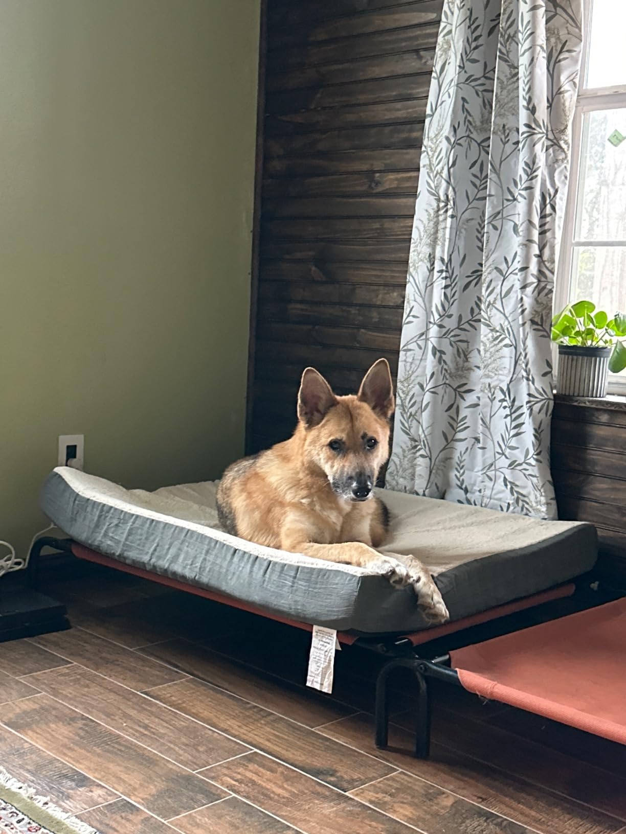 PETMAKER Orthopedic Pet Bed – 2-Layer Memory Foam Dog Bed with Removable Sherpa Cover – Comes with Additional Mattress Replacement Cover (Gray) customer photo 2