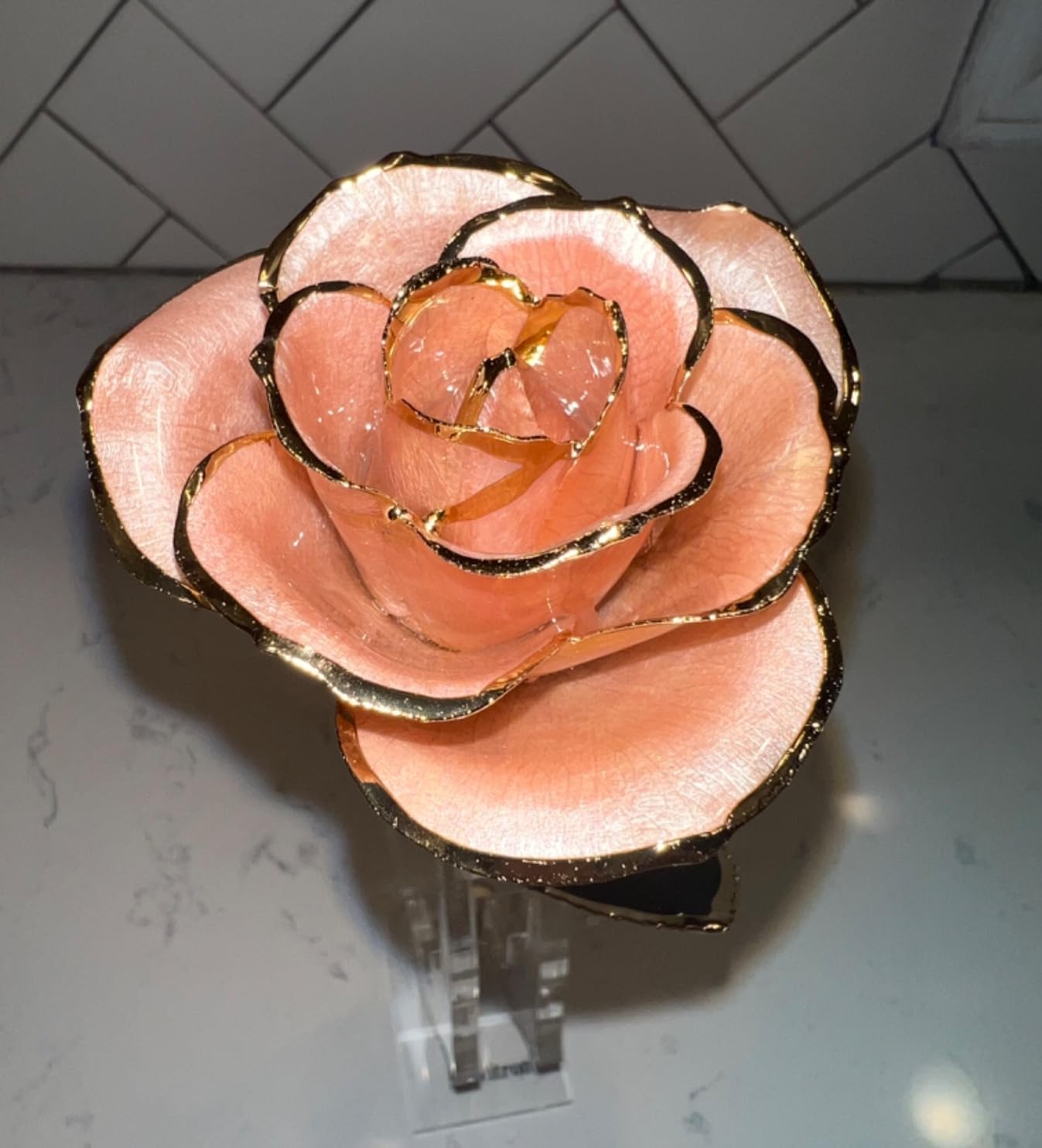 Sinvitron Gold Dipped Infinity Rose - Eternal Resin-Preserved Rose | Forever Flower Decor for Birthdays, Mother’s Day, Anniversaries | Unique Gift for Women, Mom, Wife (Red) customer photo 2