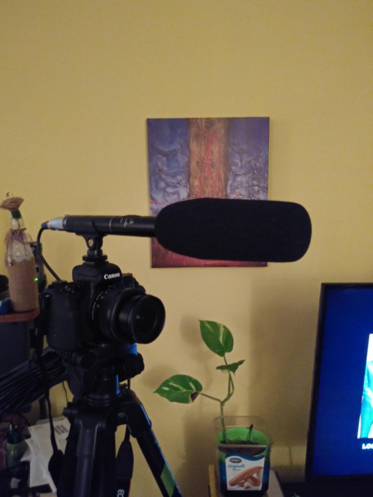 Ruittos Condenser Interview Microphone Photography Shotgun Mic for Video Camcorders DSLR DV Camcorder 11 inches/27cm Camera Microphone with Metal Holder, Anti-Wind Foam Cap XLR Cable customer photo 2
