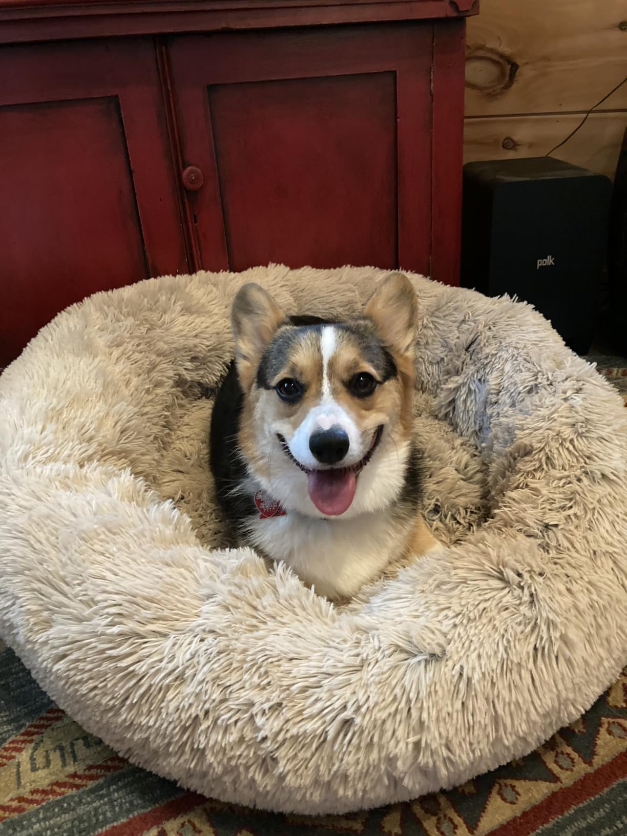 Best Friends by Sheri Original Calming Donut Dog Bed, Mink Dark Gray, 23