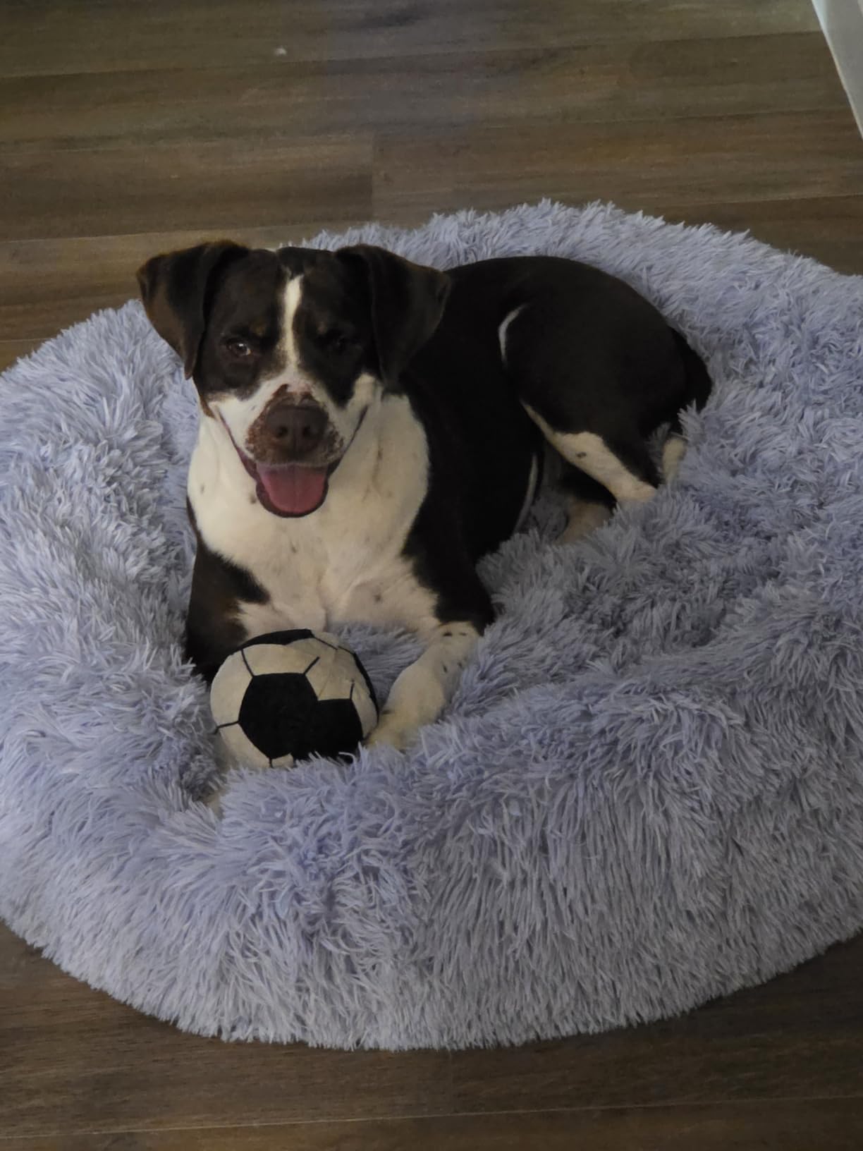 Best Friends by Sheri Original Calming Donut Dog Bed, Mink Dark Gray, 23