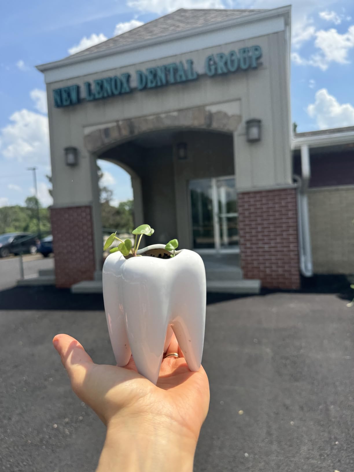 Ceramic Tooth Shaped Pen Pencil Toothbrush Holder Pot Succulent Plant Pot Home Office School Dentists Gift Ideal Gifts for Women, Mom or Birthdays customer photo 1