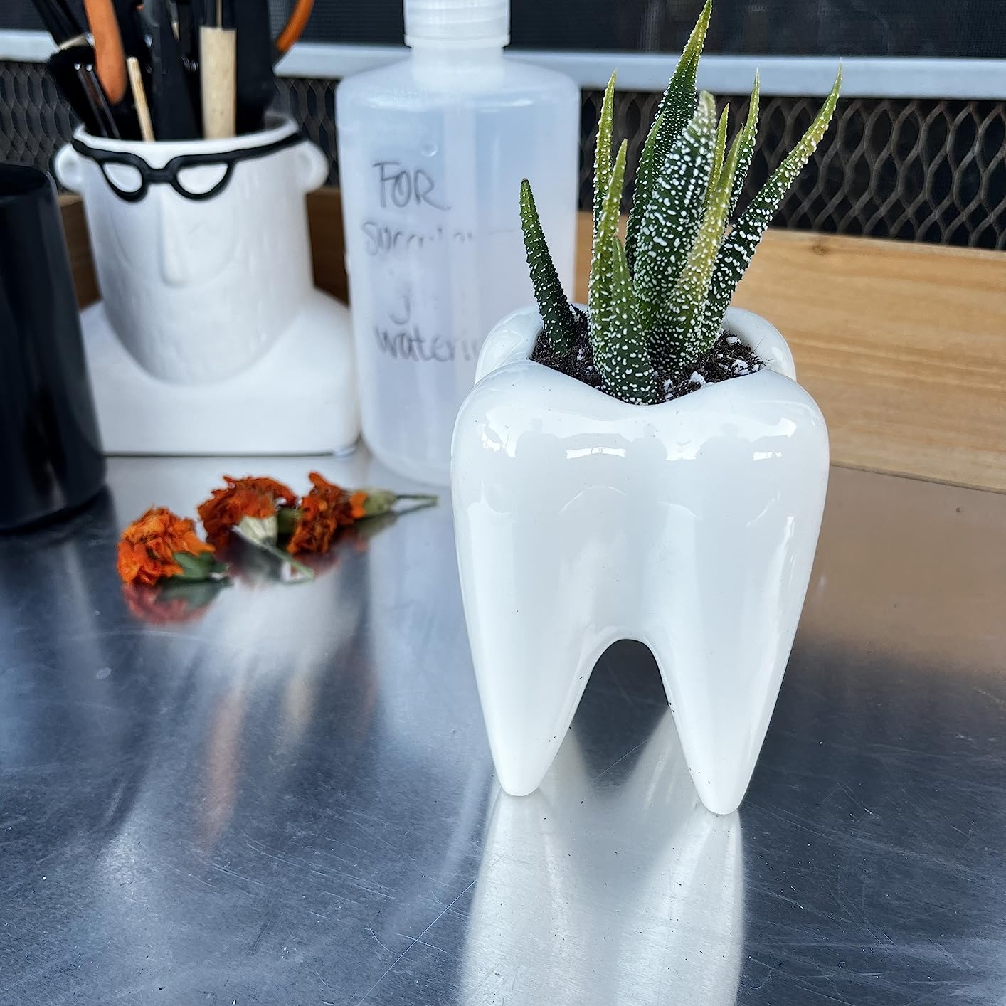 Ceramic Tooth Shaped Pen Pencil Toothbrush Holder Pot Succulent Plant Pot Home Office School Dentists Gift Ideal Gifts for Women, Mom or Birthdays customer photo 2