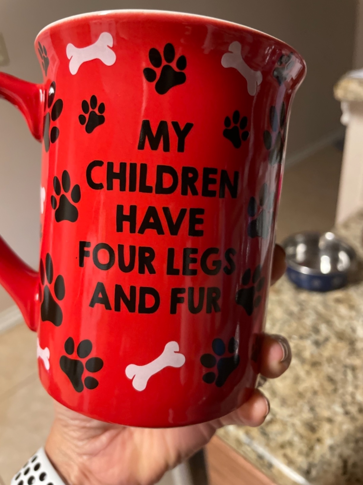 Enesco Our Name Is Mud Dog Father Stoneware Mug, 16 oz, Red,6001229 customer photo 1
