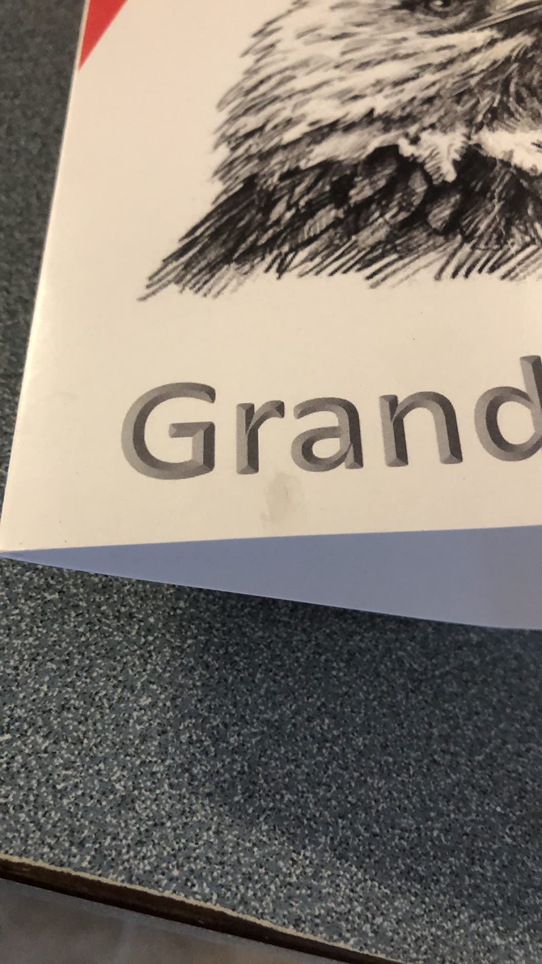 Grandson Eagle Scout Congratulations Card - So Proud of You Keepsake, Honor Achievement Card from Grandparents, Eagle Scout Court of Honor Gift customer photo 1