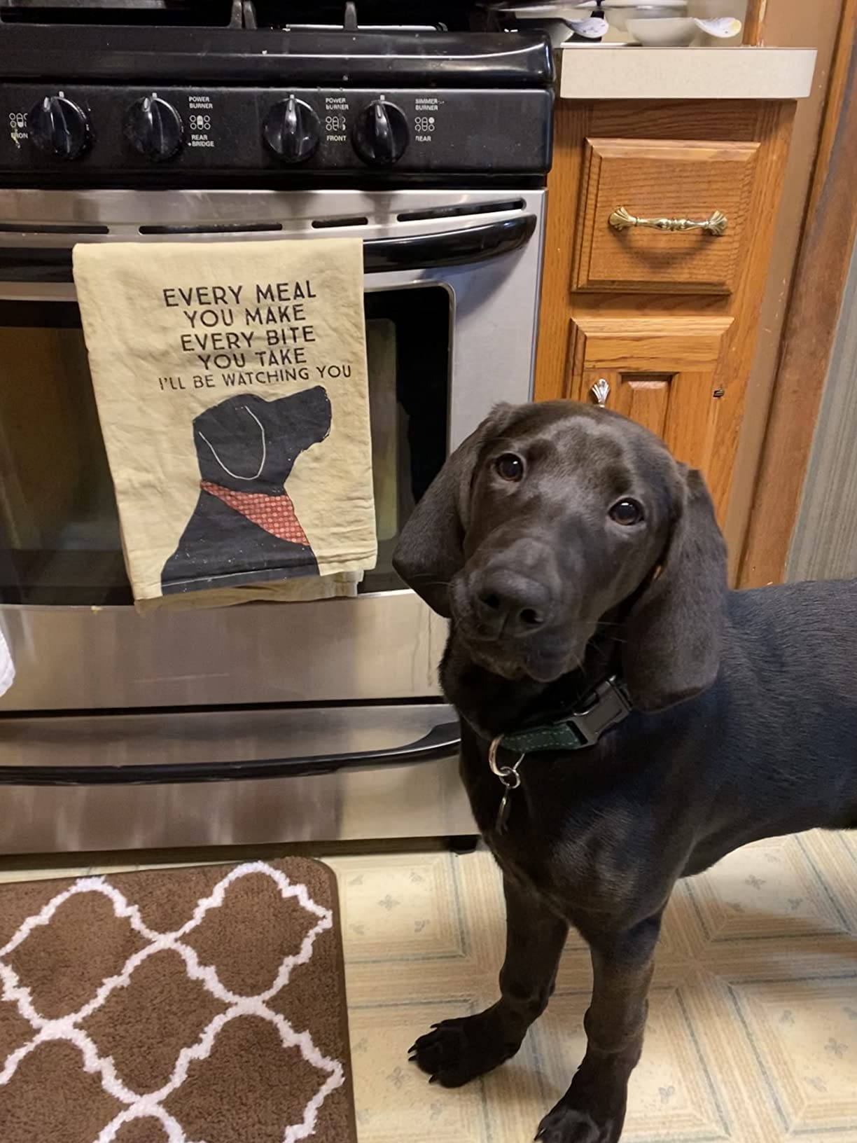 Primitives by Kathy Funny Kitchen Towel, Gifts for Dog Lovers, Bandana Dog Every Meal You Make I’ll Be Watching You, Machine Washable, 28 by 28 Inches, Rustic Pet Kitchen Décor, Tan Cotton customer photo 1
