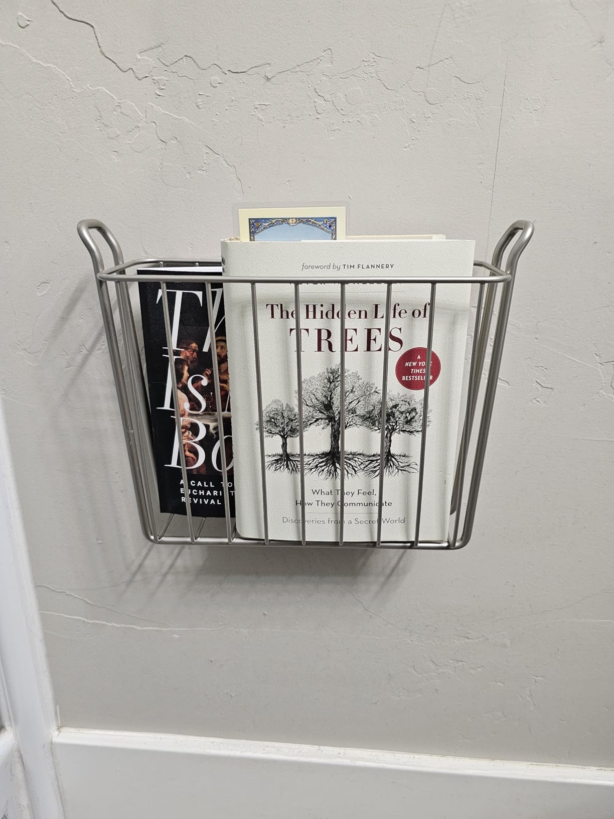 mDesign Metal Wall Mount Decorative Magazine Rack Organizer Bin Holder, Basket for Living Room, Bathroom, Bedroom, Home Office - Holds Books, Newspapers, Tablets - Concerto Collection - Graphite Gray customer photo 2