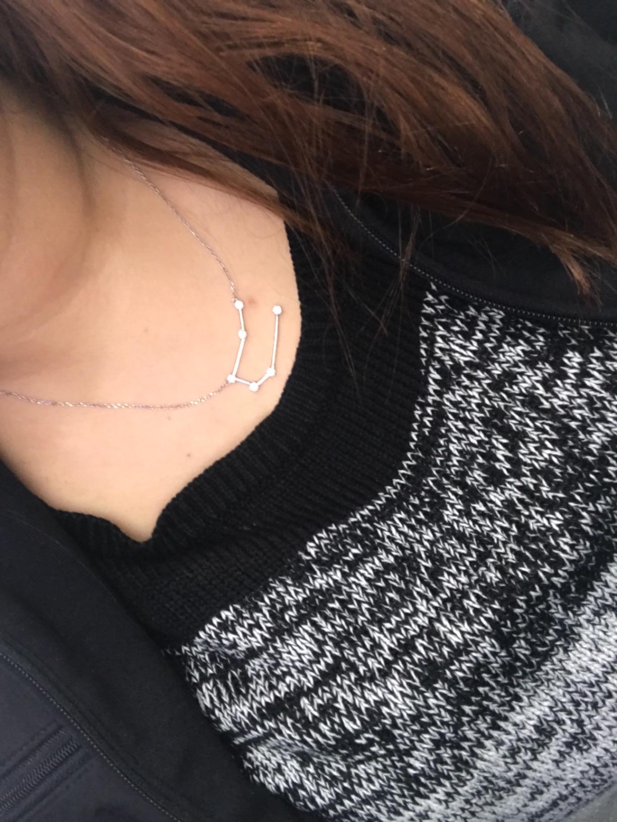 925 Sterling Silver CZ Astrology 12 Constellation Horoscope Sign Astrology Zodiac Star Necklace Birthday Jewelry for Women,18-20 inch customer photo 1
