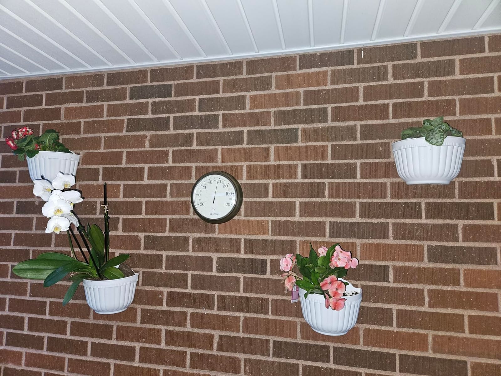 ORIMERC 4 Pack White Wall Planter Pots Vertical Living Wall Hanging Planters Wall Mounted Planter Holder with Drainage Hole for Indoor Outdoor Plants Wall Decor with Hooks/Screws customer photo 2