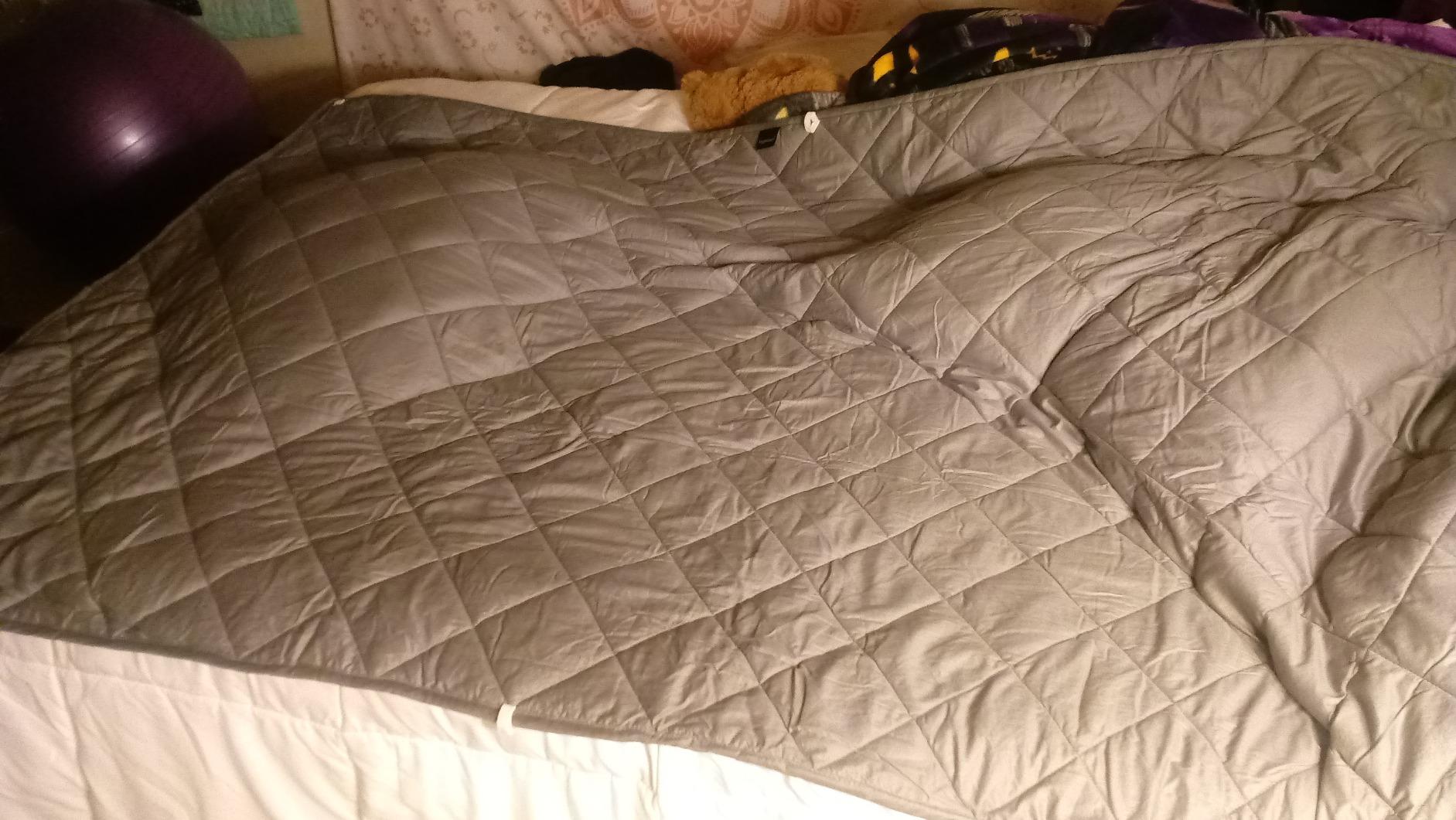 HYPNOSER Weighted Blanket for Kids, Pets (5 lbs, 36