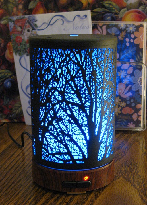 EQUSUPRO Essential Oil Diffuser for Home Fragrance & Aromatherapy 150ml customer photo 2