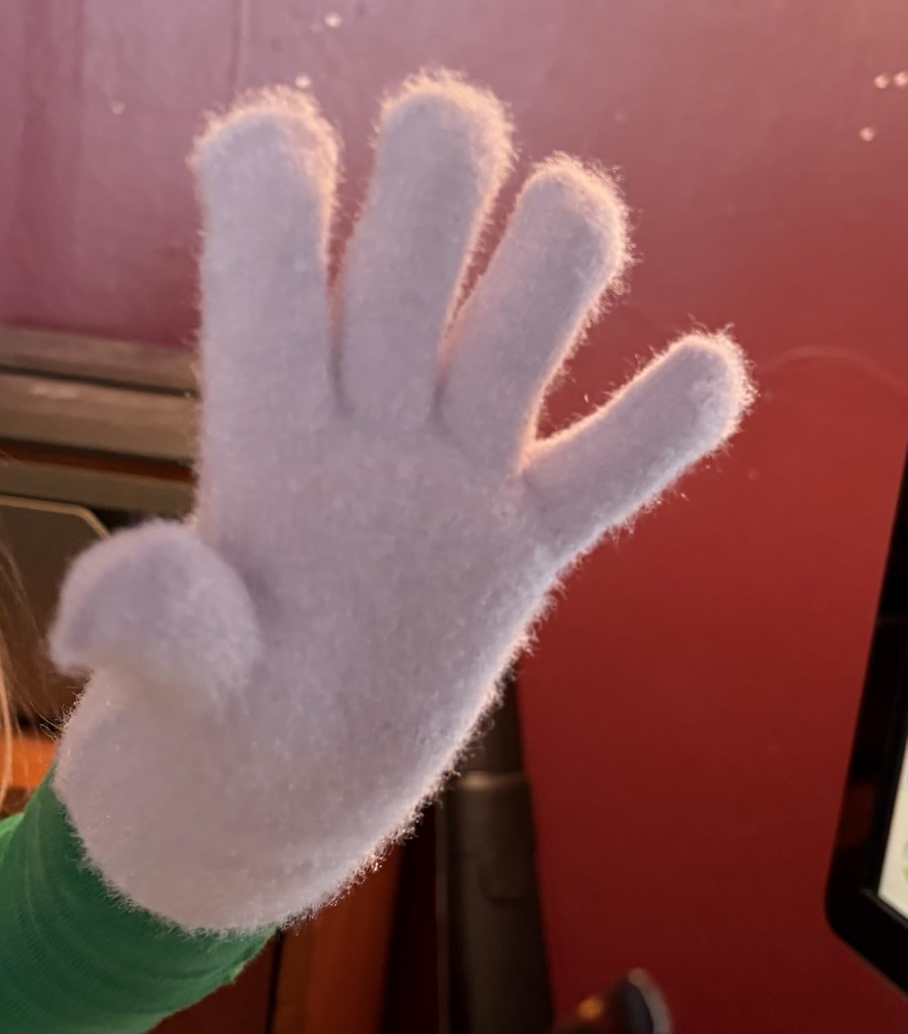 EBOOT 3 Pairs Winter Kids Gloves Warm customer photo 2