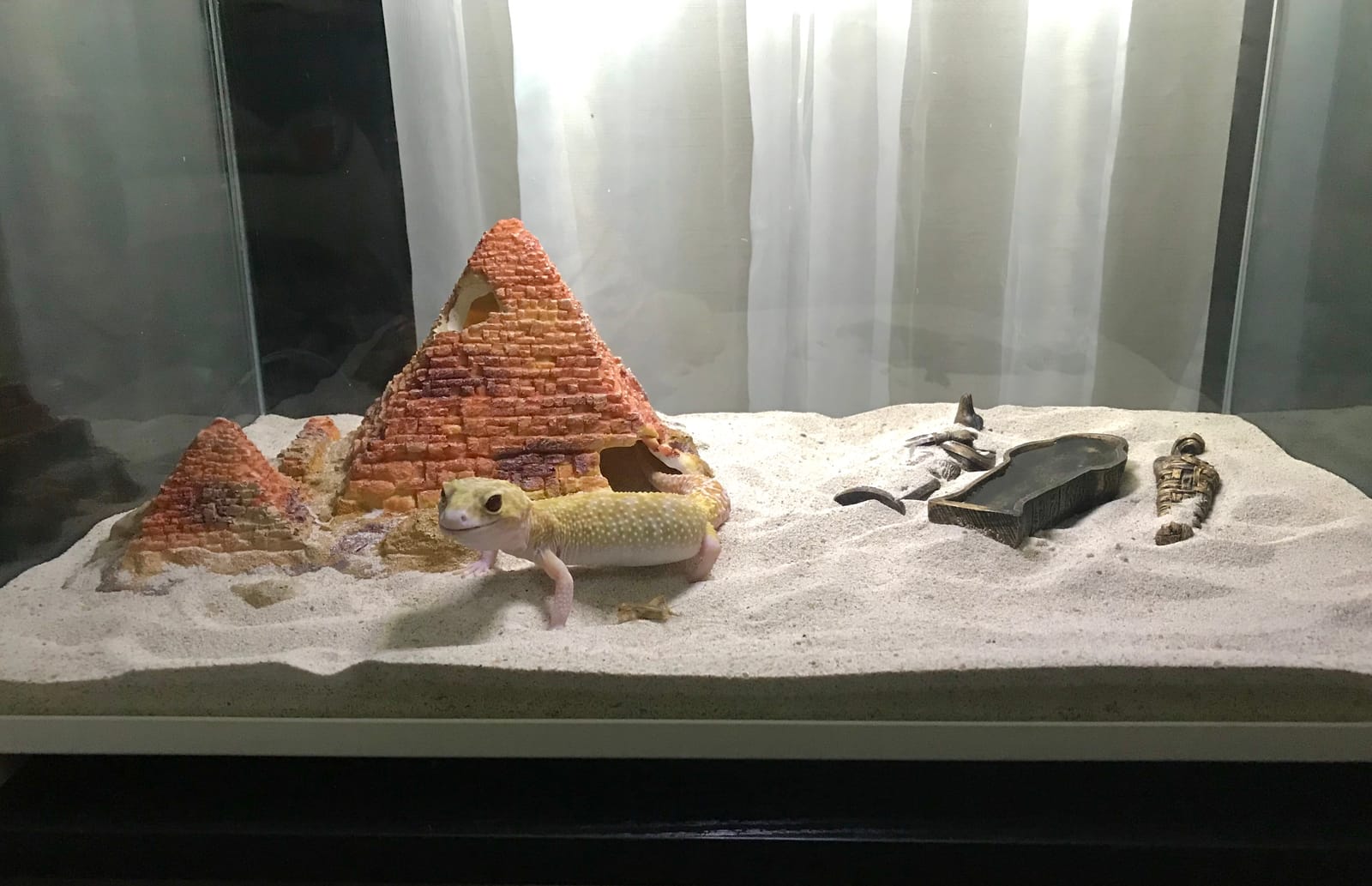 REPTI ZOO Terrarium Light - Day and Night Mode Reptile LED Light Hood with White and Blue Light for Different Pet Habits customer photo 1