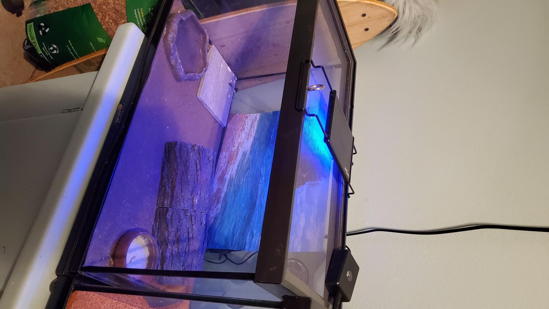 REPTI ZOO Terrarium Light - Day and Night Mode Reptile LED Light Hood with White and Blue Light for Different Pet Habits customer photo 2