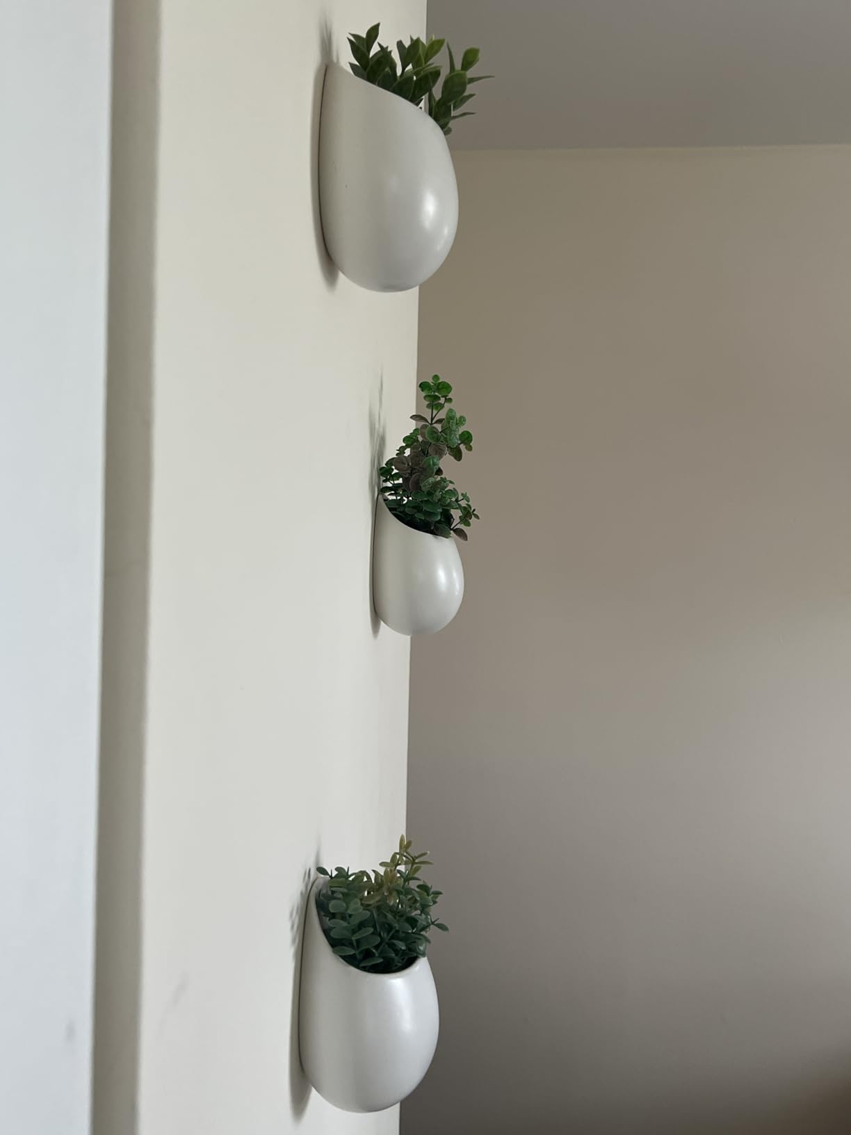 Mkono Ceramic Wall Planter for Indoor Plants 4 Inch Hanging Pot, Set of 3 customer photo 1